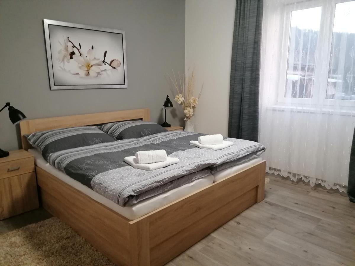 Apartmán 88 Červená Voda Exteriér fotografie